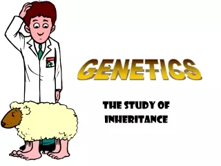 The Study of  Inheritance
