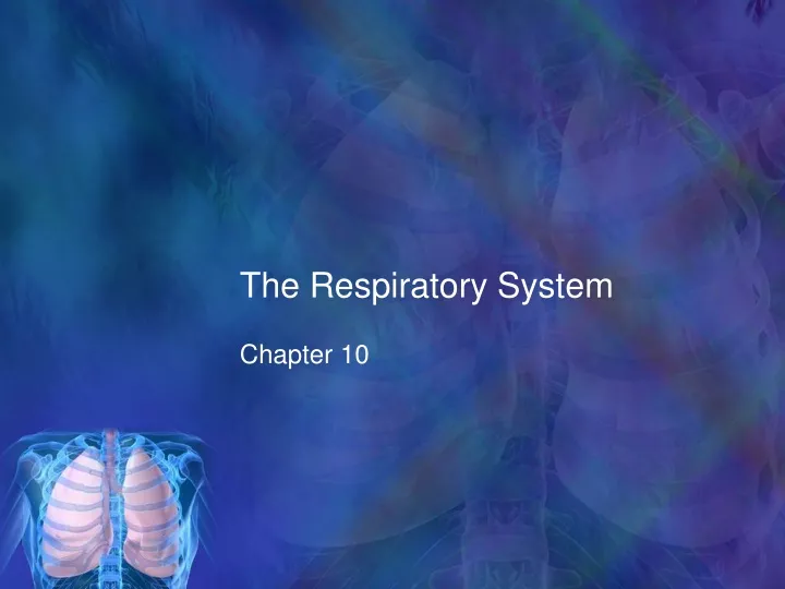 the respiratory system