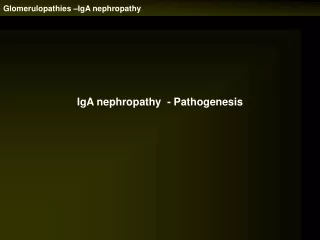Glomerulopathies –IgA nephropathy