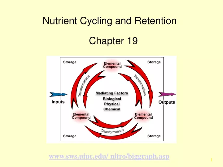 nutrient cycling and retention