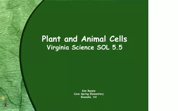 plant and animal cells virginia science sol 5 5