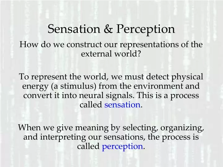 sensation perception