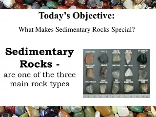 Today’s Objective: What Makes Sedimentary Rocks Special?