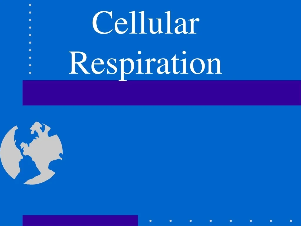 PPT - Cellular Respiration PowerPoint Presentation, free download - ID ...