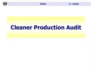 Cleaner Production Audit