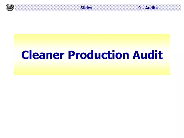 cleaner production audit