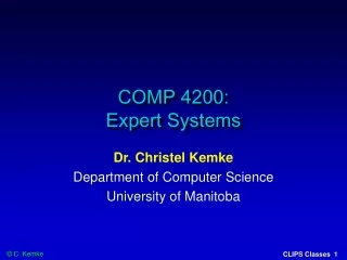 COMP 4200:  Expert Systems