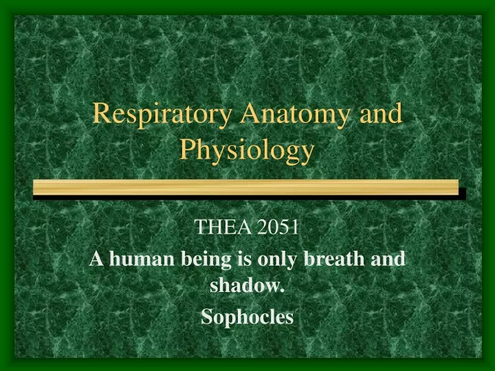 respiratory anatomy and physiology