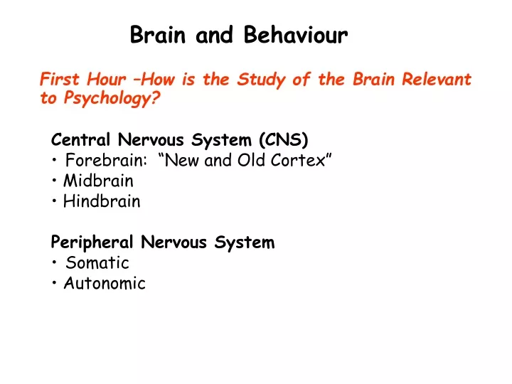 brain and behaviour
