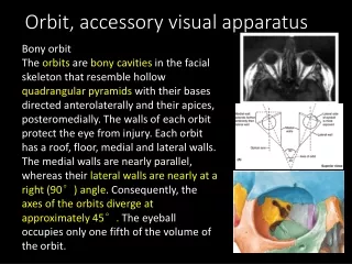 Orbit, accessory visual apparatus