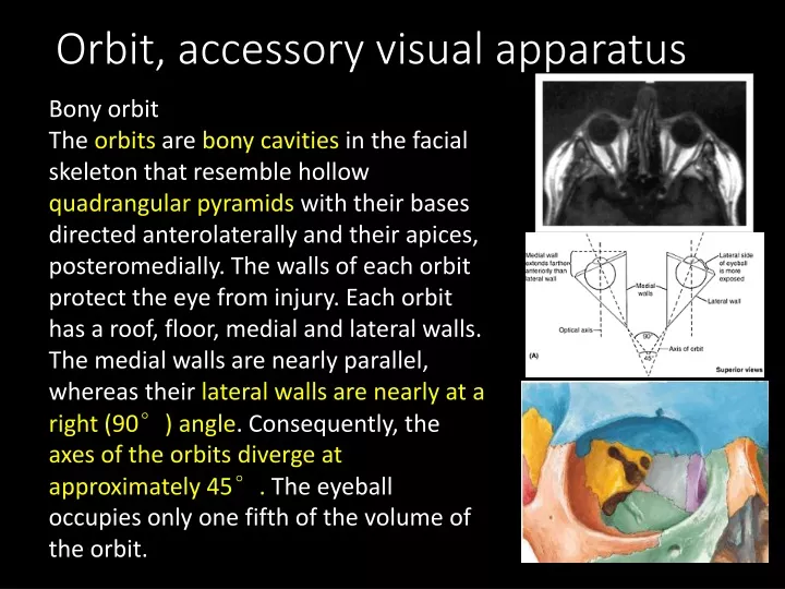 orbit accessory visual apparatus