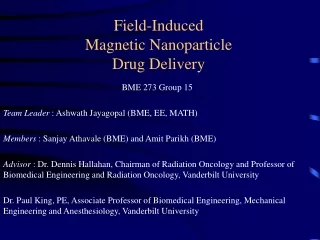 Field-Induced  Magnetic Nanoparticle Drug Delivery