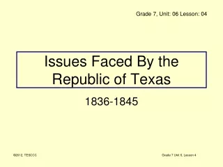 Issues Faced By the Republic of Texas