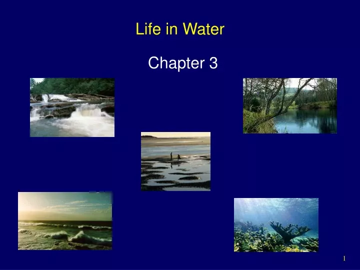 life in water