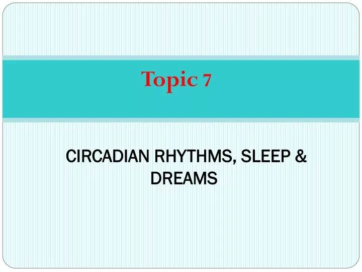 circadian rhythms sleep dreams