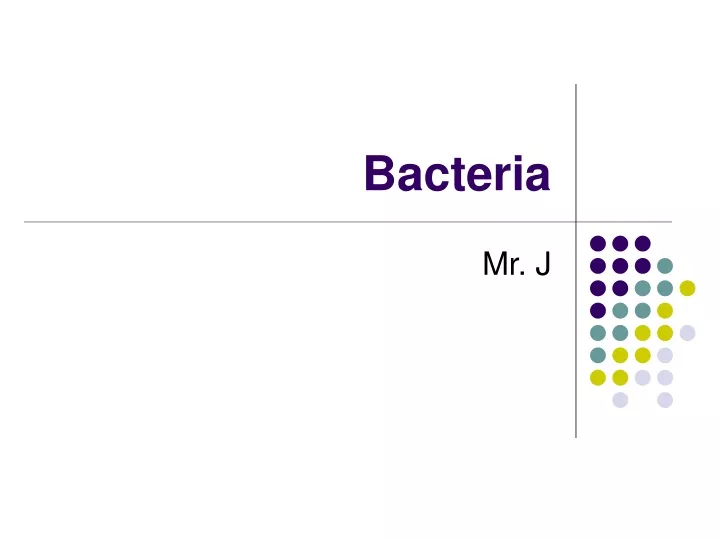 bacteria