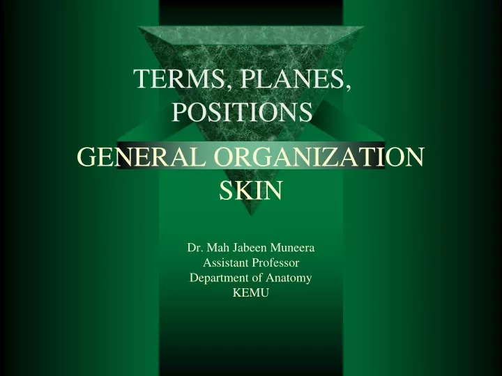 general organization skin dr mah jabeen muneera assistant professor department of anatomy kemu