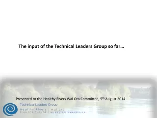 The input of the Technical Leaders Group so far…