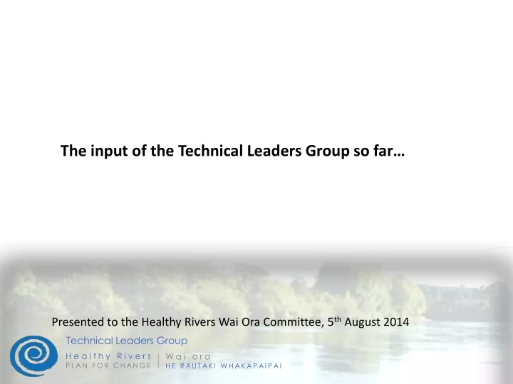the input of the technical leaders group so far