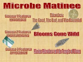 Microbe Matinee