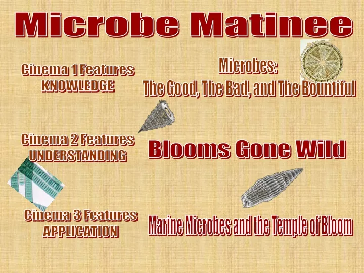 microbe matinee