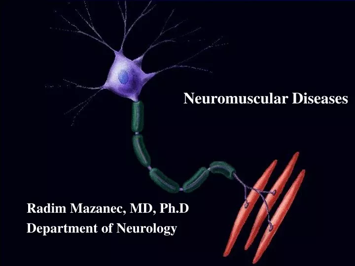 neuromuscular disease s