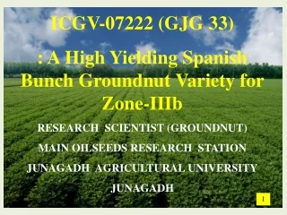 ICGV-07222 ( GJG 33) : A High Yielding Spanish Bunch Groundnut Variety for Zone- IIIb