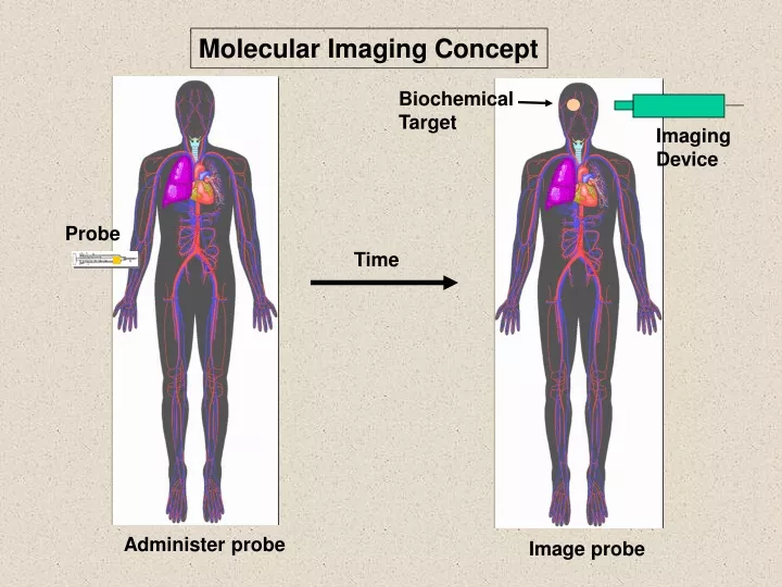 molecular imaging concept