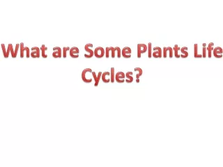 What are Some Plants Life Cycles?