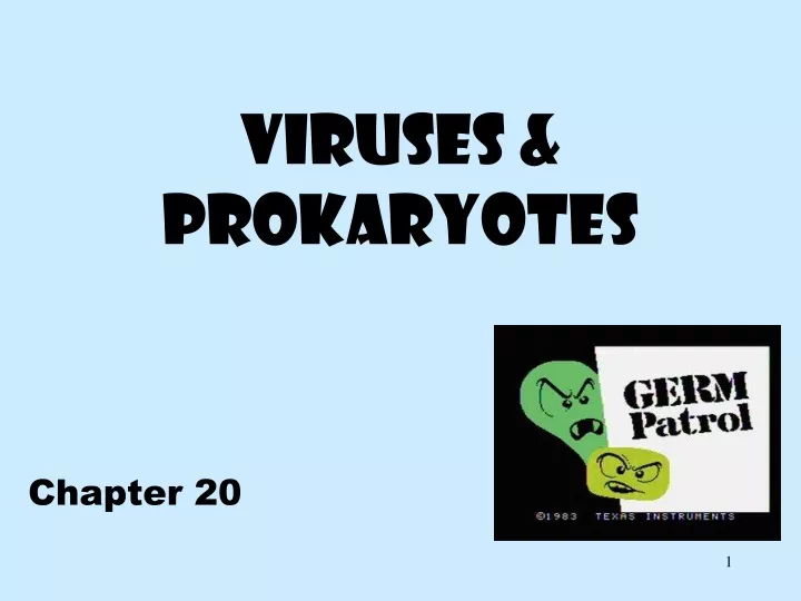 viruses prokaryotes