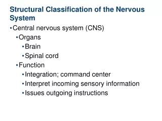 Structural Classification of the Nervous System