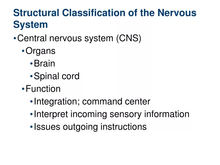 structural classification of the nervous system