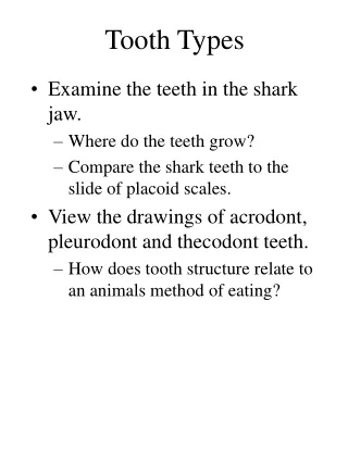 Tooth Types