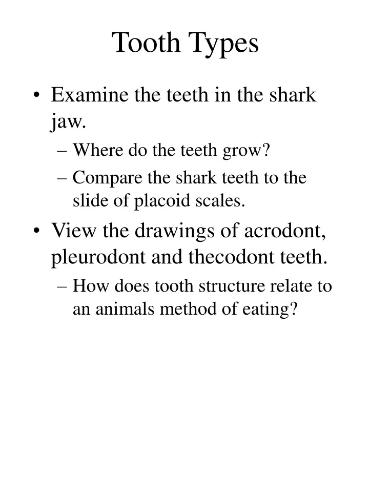 tooth types