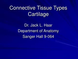 Connective Tissue Types Cartilage