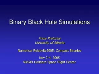 Binary Black Hole Simulations