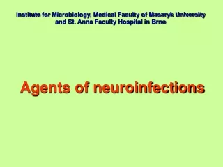 Agents of  neuroinfections
