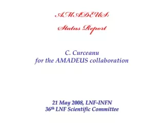 AMADEUS:  Status Report C. Curceanu  for the AMADEUS collaboration 21 May 2008, LNF-INFN