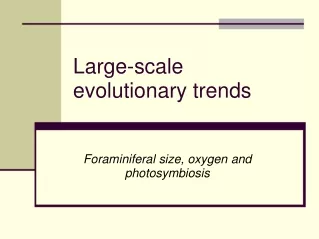 Large-scale evolutionary trends