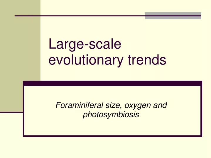 large scale evolutionary trends