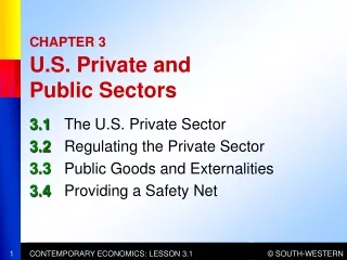CHAPTER 3 U.S. Private and  Public Sectors
