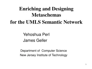 Enriching and Designing Metaschemas  for the UMLS Semantic Network