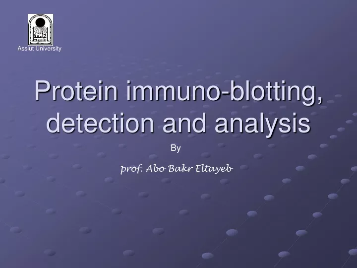 protein immuno blotting detection and analysis