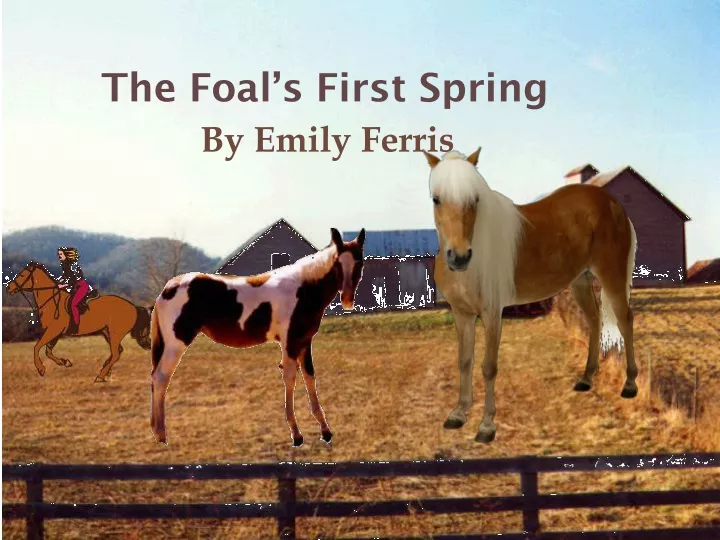 the foal s first spring