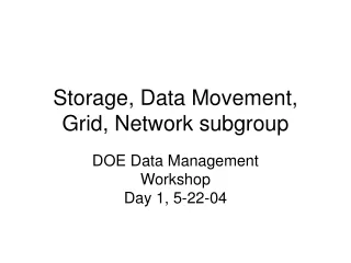 Storage, Data Movement, Grid, Network subgroup