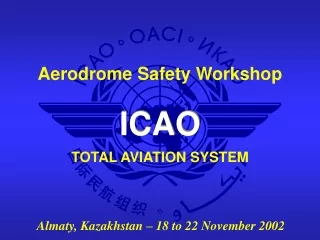 TOTAL AVIATION SYSTEM