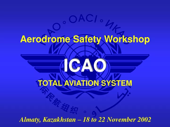 total aviation system