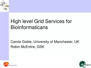 High level Grid Services for Bioinformaticans