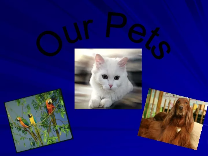 our pets