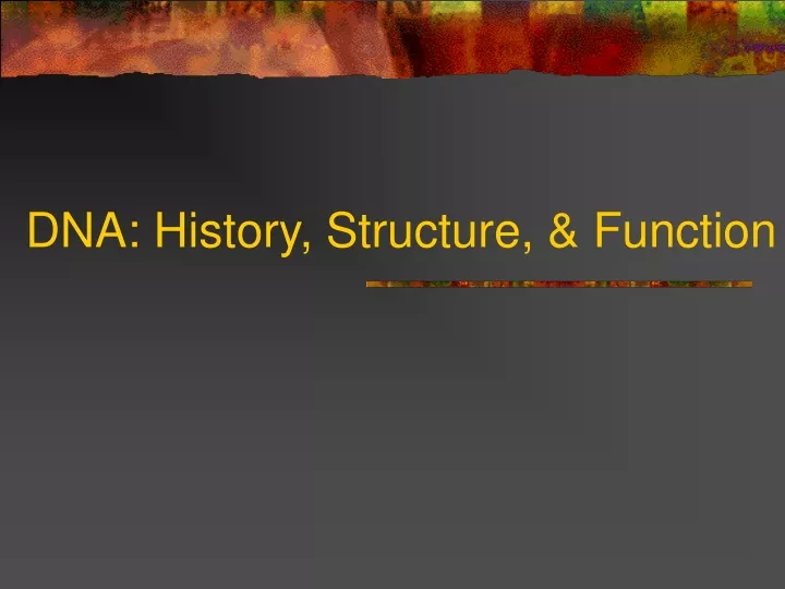 dna history structure function